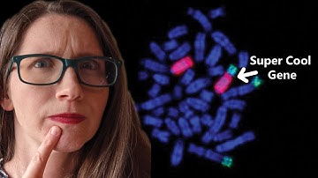 In Situ Hybridization for BEGINNERS