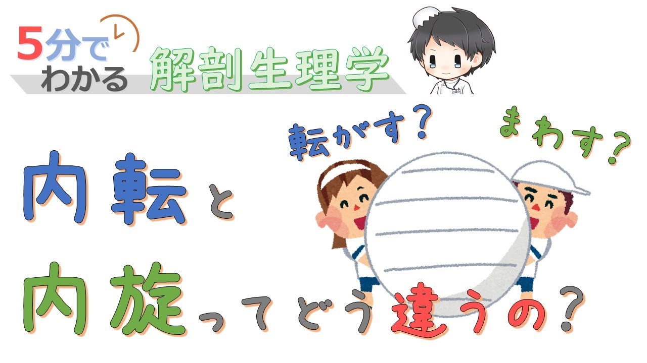 内転と内旋の違い（関節可動域）【5分でわかる解剖生理学】