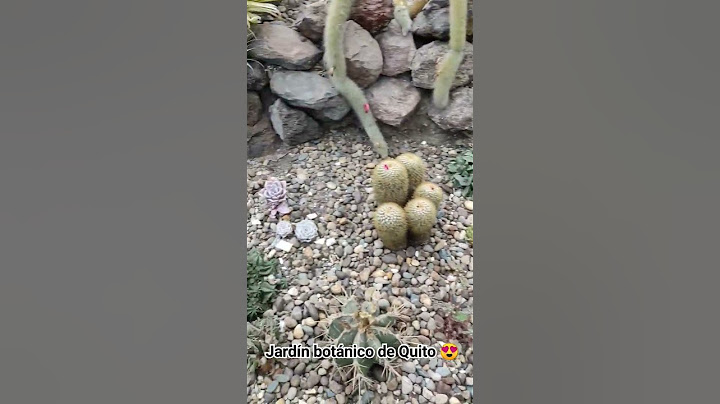 Cactus y suculentas de el jardín botánico de Quito 😍