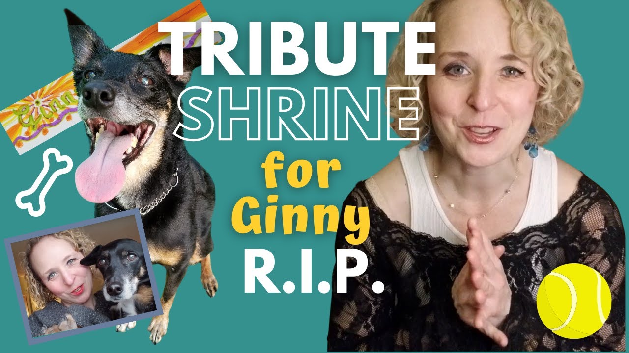 Tribute to Ginny | Memorial Shrine for My Dog