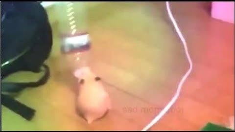 hammie boye- extended cut (full song)