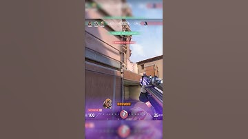 Gekko Thrash Friendly Fire