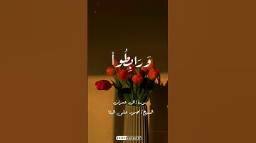 سورة آل عمرآن | الشيخ محمود على البنا🤍📻 #سورة_آل_عمران #quran