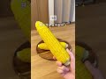 もっと早く知りたかった！夏野菜がもっと美味しくなる裏ワザ5選🥬✨