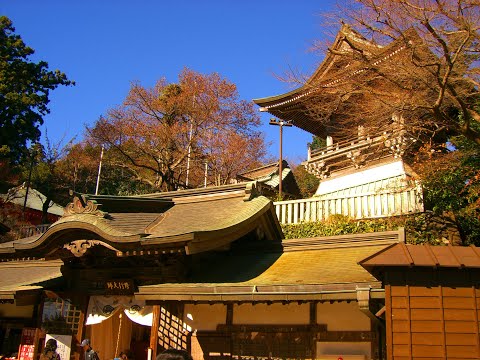 高尾山薬王院有喜寺 2008年12月7日 平成20年 みんなのアルバム