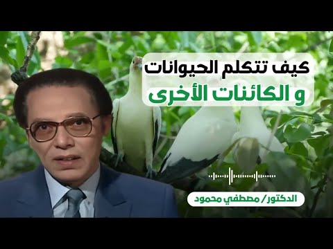 كيف تتكلم الحيوانات من أروع حلقات الدكتور مصطفى محمود رحمه الله