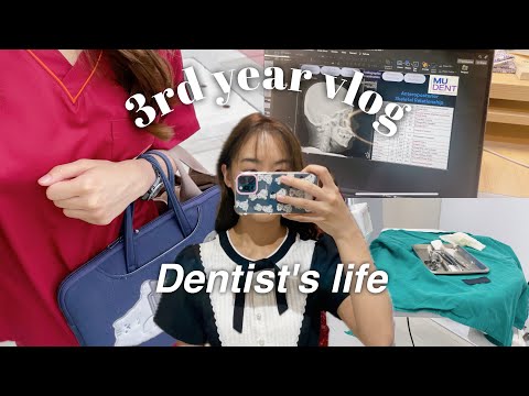 vlog ปี 3 มาปีละคลิป แฮ่!! จัดไปจุกๆ 17 นาที | #เรียนจัดฟันdiary | WendyDelight