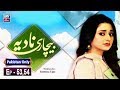 Watch Bechari Nadia Episode 53 & 54 - ARY Zindagi Drama Online In HD
