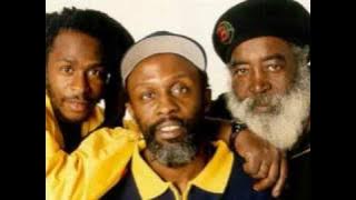 Steel pulse - Life without Music (rollerskates)
