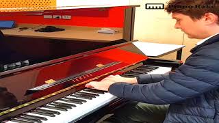 Introducing: The Piano Rake®