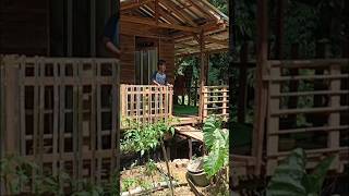 Rumah Kayu Dalam Hutan