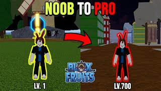 Noob To Pro Part 1 (Level 1 To Level 700) [Blox Fruits]