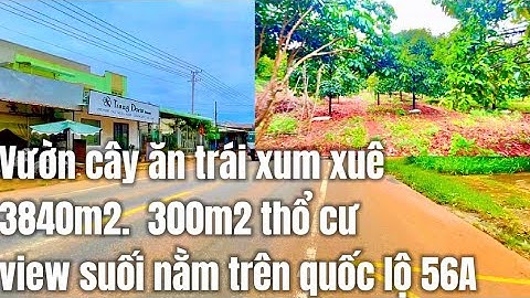 Bể nợ bán gấp mảnh đất vườn trái cây, viêw suối, đường lớn, 3840m2 300tc mặt tiền QL56. Ở BRVT