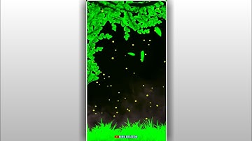 avee player template.black screen template.green screen template.tree animation background video.sho