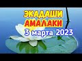 Не пропустите! ЭКАДАШИ: 3 марта 2023 Амалаки ЭКАДАШИ