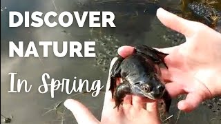 Early Spring Nature Study | How to Track the First Signs of Spring 🌱