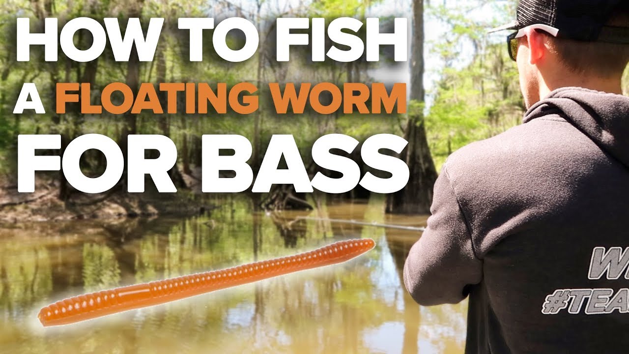 Floating Worms: How to Rig and Fish for Bass - Wired2Fish