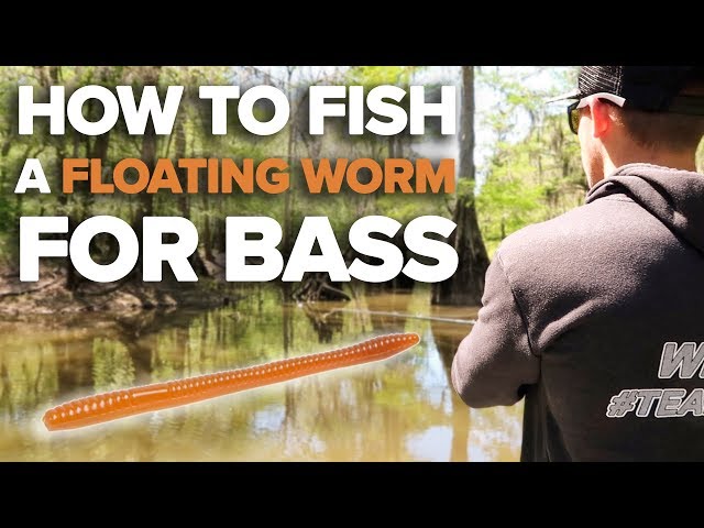 How to Fish a Floating Worm on Cover for Bass - Tips & Catches 