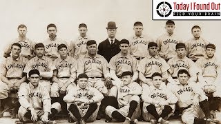 Why the Chicago Cubs are Named After a Baby Bear and The Long, Weird History of Their Mascot