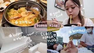 🏖 [busan vlog] beach picnics, bomb food, bye byes 🌊💙