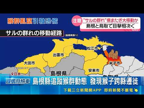 More Than Just Bears and Boars: A Troop of 27 Monkeys Spotted Strolling Through Japan in Broad Da...