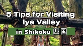 Download lagu IYA VALLEY Day Trip: The best tips🌿 | With Seika Ordermade Travel