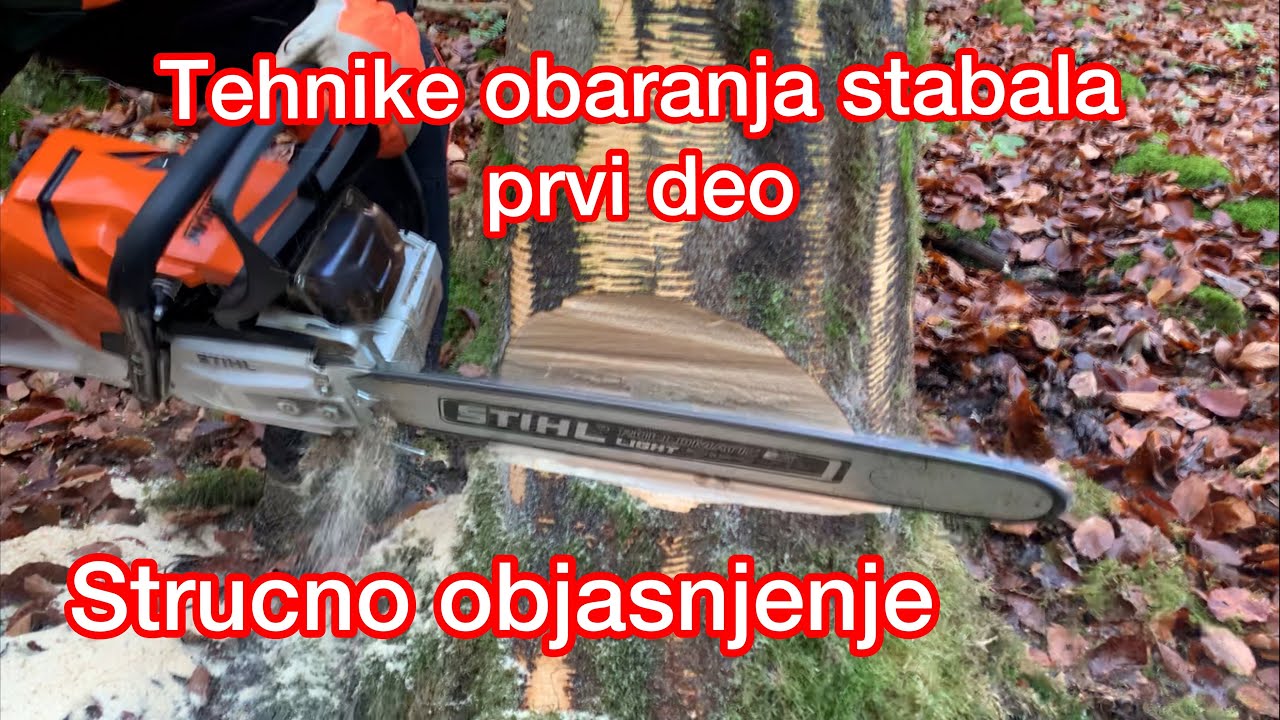 Tehnike obaranja stabala 1deo. Pravilno i strucno pokazivanje obaranja! Tutorial!