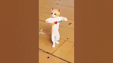 اسم مروه مروه مروه 