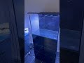 Setting Up a Octopus Tank Setting Up a Octopus Tank