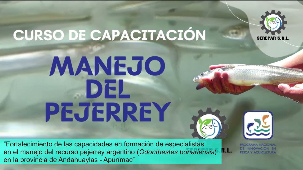 PNIPA-PES-SFOCA-PP-151 SEREPAR SRL. - 2021