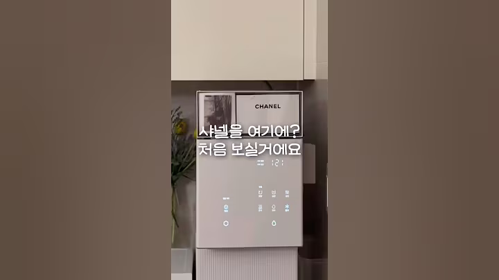 샤넬 .... 신 .... 상 ?   #shorts #샤넬 #수납함 #신상 #다이소추천템 #살림팁