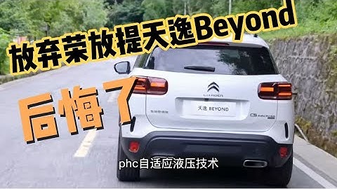 16万没要荣放提了天逸Beyond，试驾650公里，老司机说出心里话 - 天天要闻