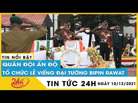 Video: Bò Jersey: đánh giá, đặc điểm