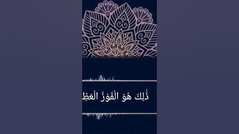 "يوم ترى المؤمنين والمؤمنات يسعى نورهم" سورة الحديد