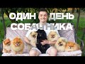 ОДИН ДЕНЬ СОБАЧНИКА | Женя Білозеров