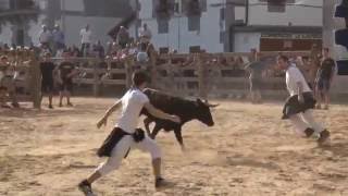 ENCIERRO Y SUELTA DE VACAS, con cogidas | LEITZA 2016 - NAVARRA | PTV REPORTAJES