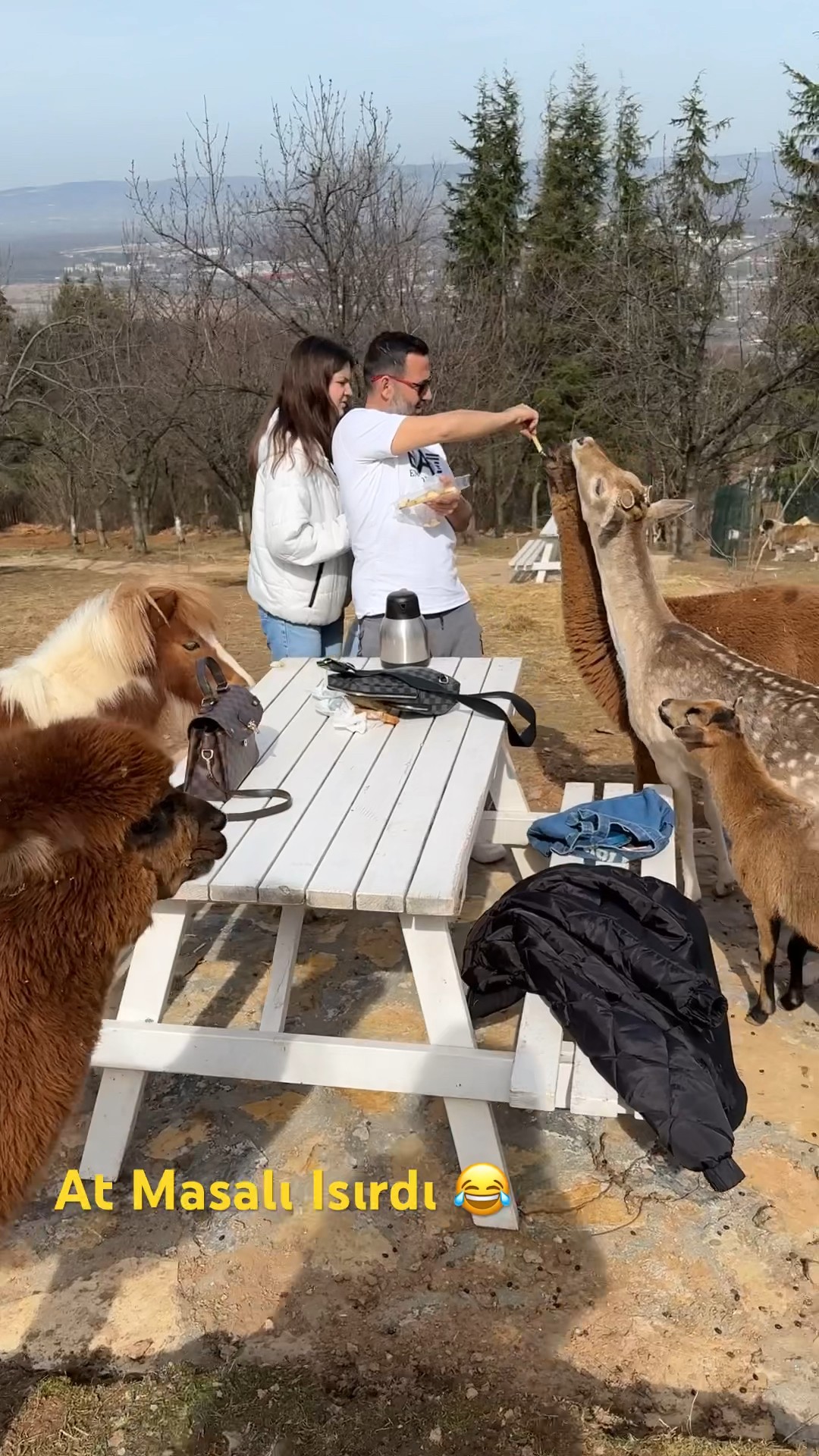 Masalı At ısırdı #comedy #eğlence #funkid #funny #komikvideo #tiktok #masalöykü #keşfet #masal