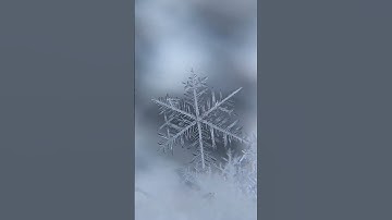 The biggest snowflake #Shorts