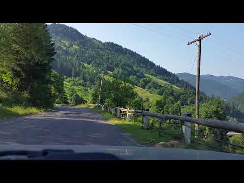 Von Czernowitz nach
