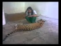 Tiger vs. the handler