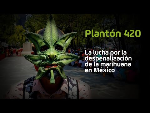 Plantón 420: la lucha por la despenalización de la marihuana en México