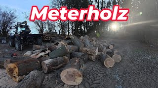 Meterholz Schneiden Mit Kranunterstützung Vorbereitung Fürs Vorspalten