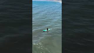 IMG 1042