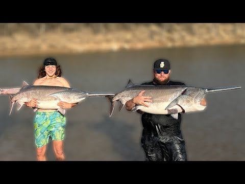 We Caught Hundreds of Paddle Fish!! My First Vid(Catch Clean Cook on Campfire)