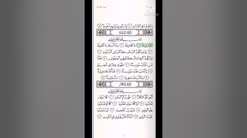 تلاوة سورة ( القارعة ، التكاثر ) للقارئ سعد الغامدي