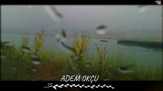 Adem Okçu - Digirim -  Official Audio