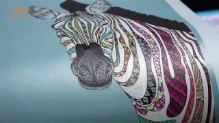 how to use soft ink to print on canvas with CMYK+colorful screenshot 5