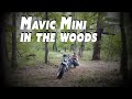 Mavic Mini Freestyle in the Woods