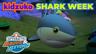 Octonauts: Above & Beyond  It's Shark Week!  | Season 2 |  @OctonautsandFriends