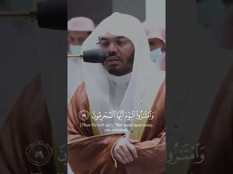 و أ ن ٱع ب د ون ى ه ذ ا ص ر ط م س ت ق يم القارئ ياسر الدوسري التلاوة كاملة بالوصف